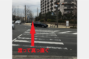 北大阪急行線「桃山台駅」から道順6